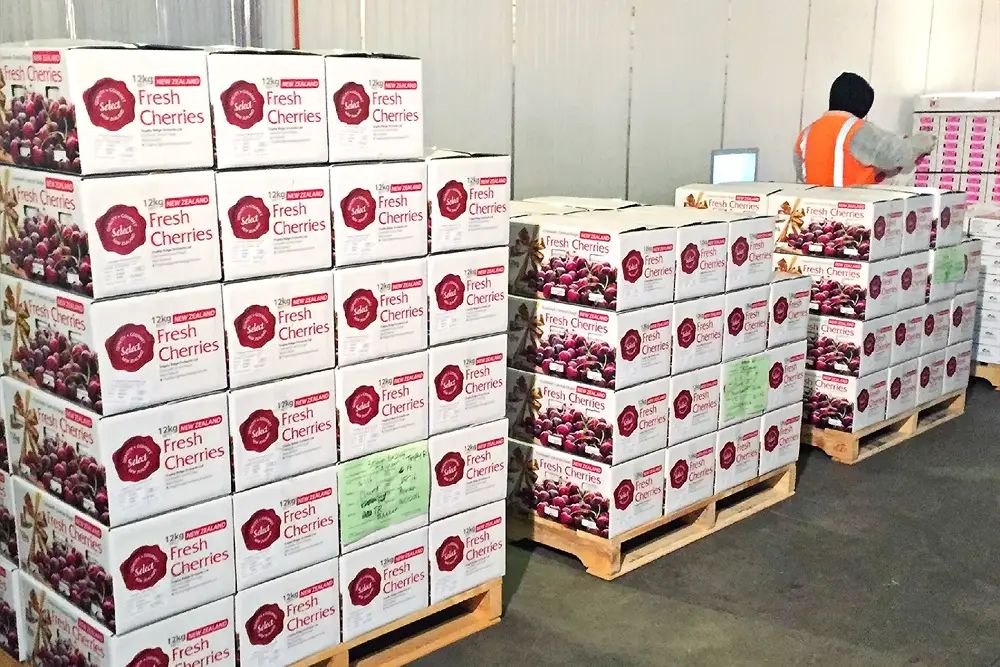 New Zealand's cherry industry sees record-breaking export season