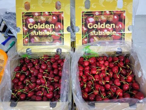 Mumbai toasts Chilean cherries: success beyond expectations thanks to quality