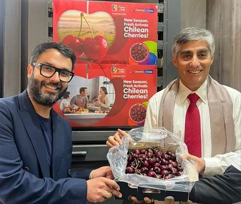 Chilean cherries boom in India: sea shipments drive exports