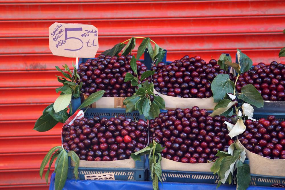 Cherry crop increases in Türkiye while export tops 75.000 tons in 2023