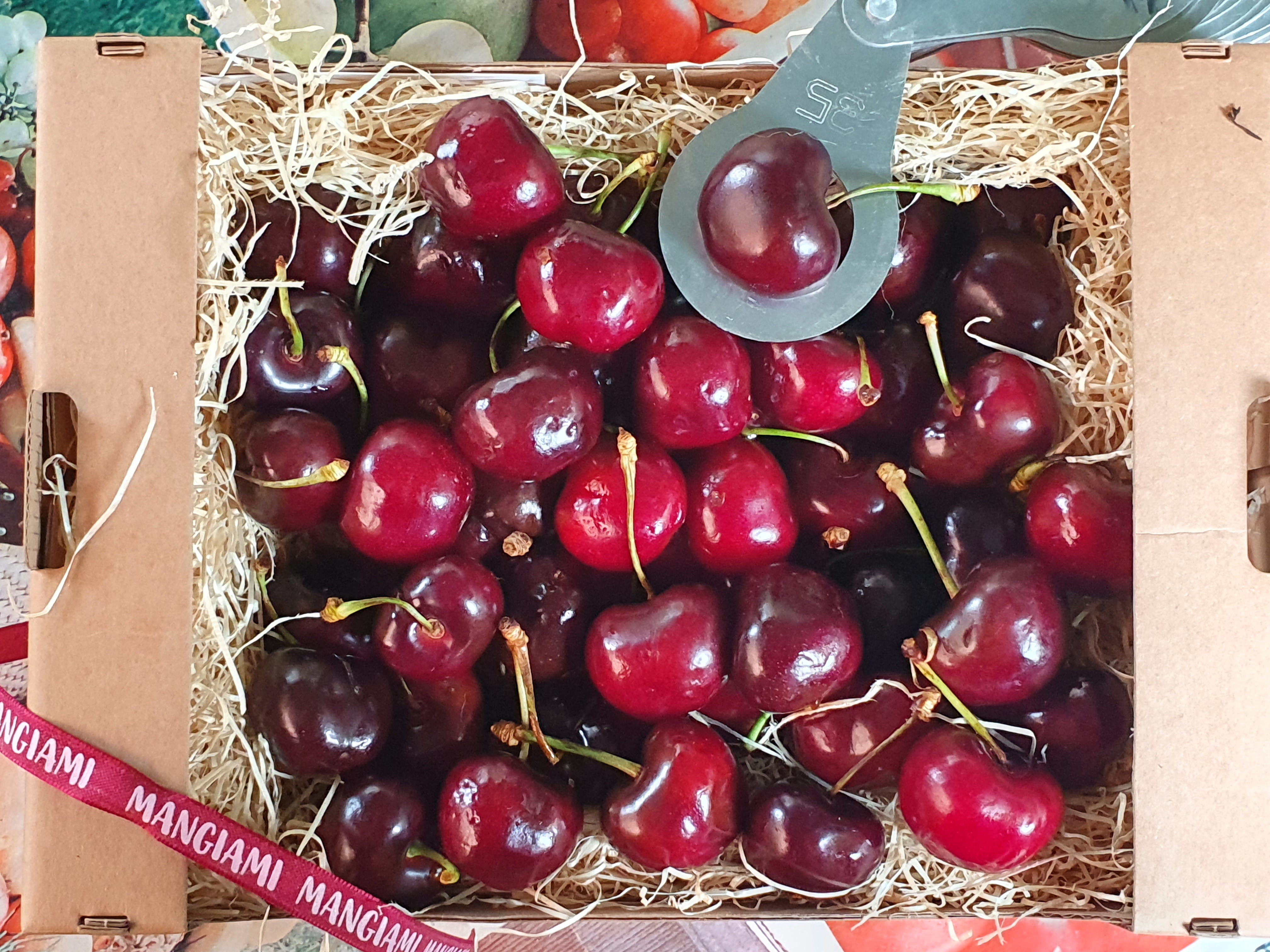 "Which Biosolutions for quality cherries?": an event at Macfrut to shed light on sustainability and quality