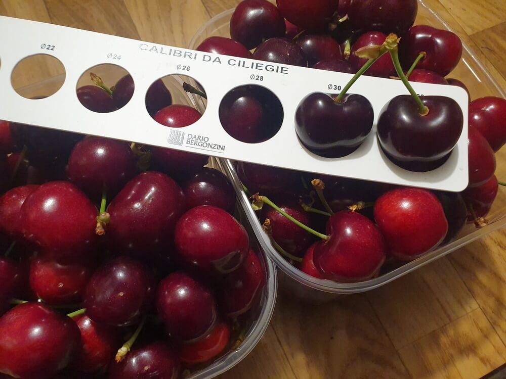 A study on cherry genome reveals the genes responsible for fruit quality