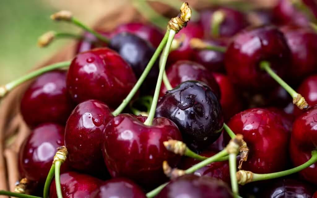 UK preference for native cherries: insights from research conducted by Driscoll's