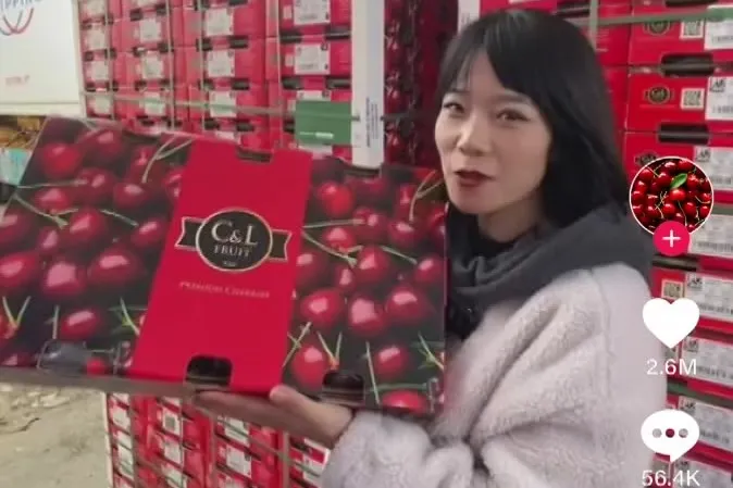 Record cherry sales thanks to TikTok: Tasmanian cherries conquer Asia