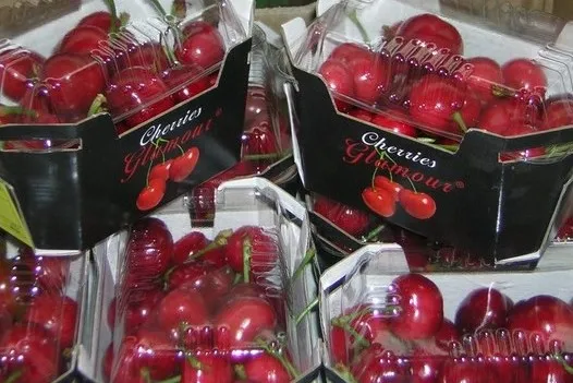 Spanish Greenhouse Cherries on the Rise: Prices Drop, Demand Soars