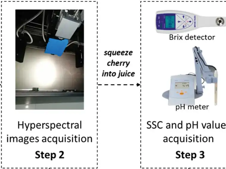 Hyperspectral imaging can unlock the ripeness index of cherries