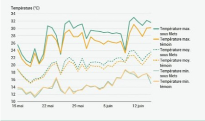 Le coperture anti insetto nei ceraseti modificano il microclima ma non la fenologia