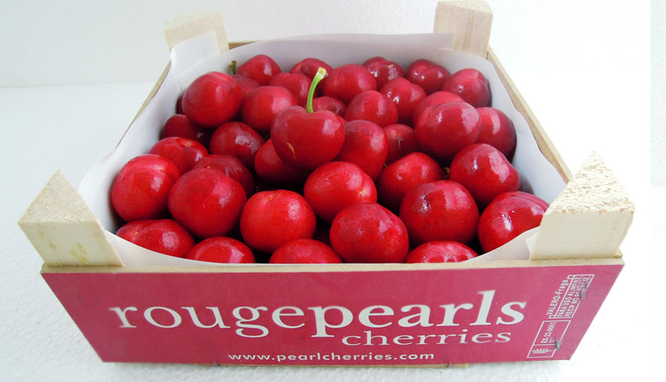The secret behind the early cherries of Fruit Luxury (Huesca, Spain)
