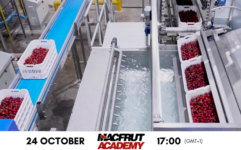 The Chilean cherry sector at the centre of the next episode of Macfrut Academy