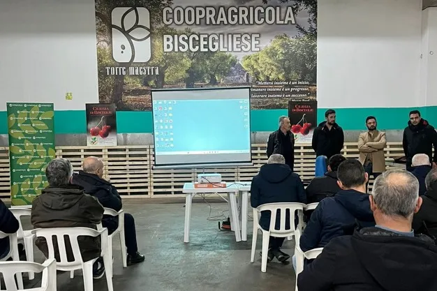 Il Consorzio della Ciliegia di Bisceglie lancia un corso di formazione per i dipendenti delle aziende cerasicole