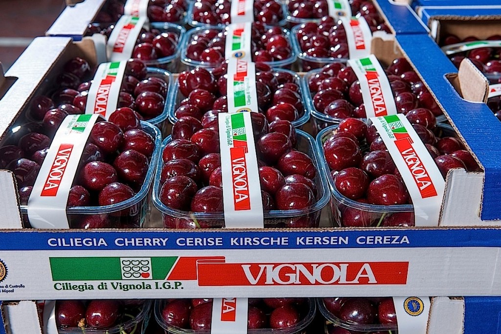 The 2024 cherry campaign: the ISMEA report on the Italian production