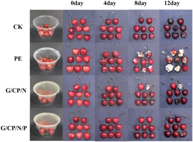 A new biodegradable film for sweet cherry packaging