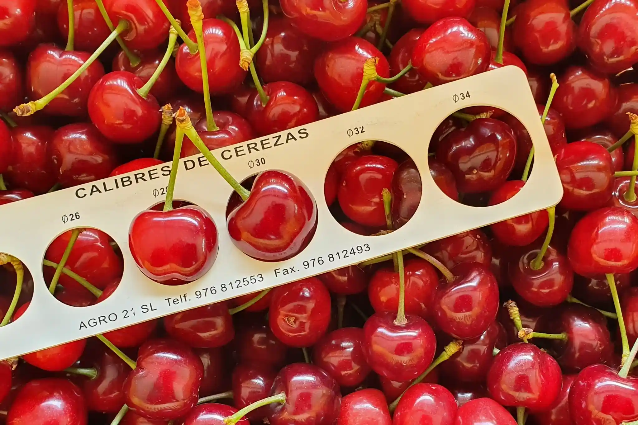Controlled atmosphere in Chilean cherries: effects on quality and post-harvest damage