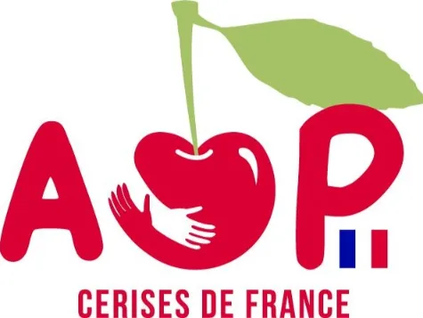 AOP Cerises de France: un'organizzazione al servizio della ciliegia
