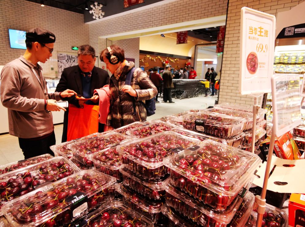 Chilean cherries in crisis: the Chinese market problem could ruin the 2025 season