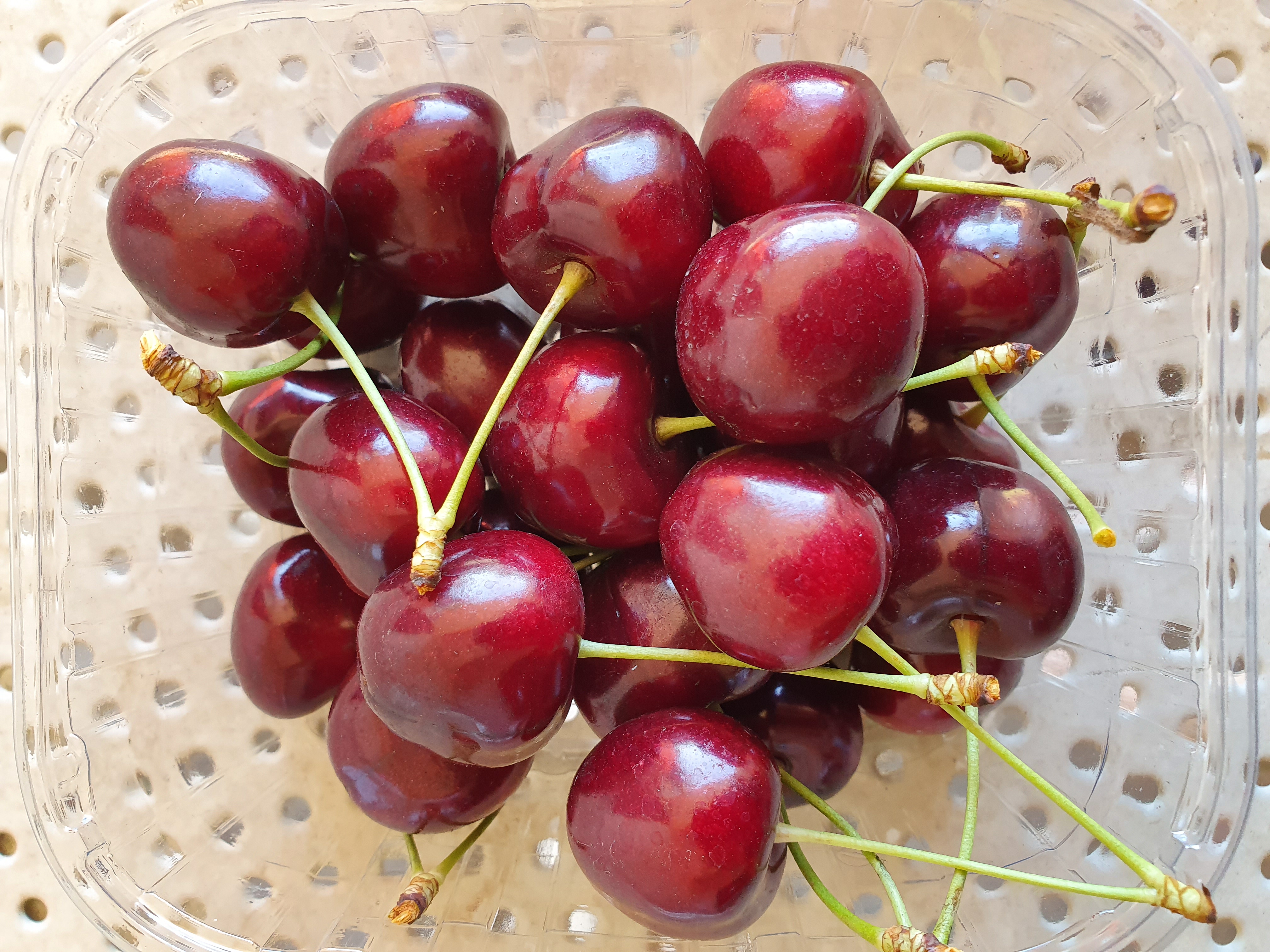The influence of cultivar and rootstock on the bioactive compound content in sweet cherry