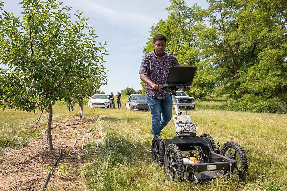 Assessing root architecture with radar and artificial intelligence