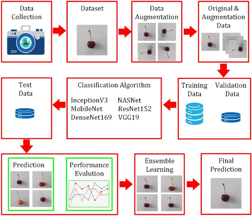 Using artificial intelligence to classify cherries