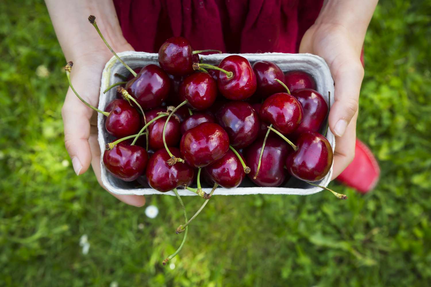 Cherry allergy: tips for diagnosis, treatment and prevention