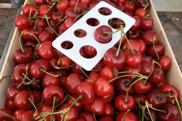 Hungary: early harvest and good quantities with estimates around 12,000 tonnes