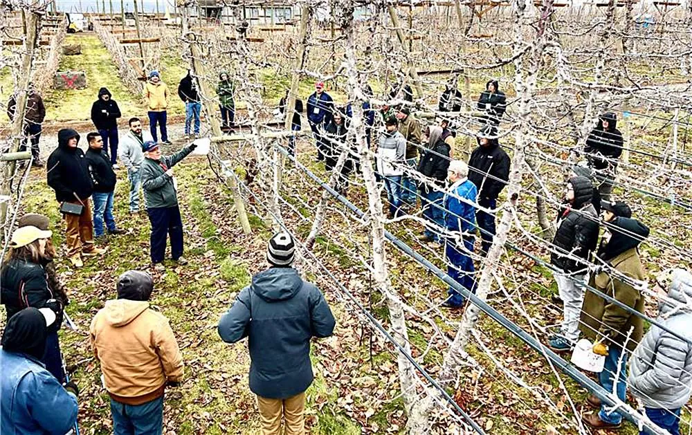 Washington Hort Show: giornate tecniche su ciliegie, tecnologia e il nuovo progetto Smart Orchard