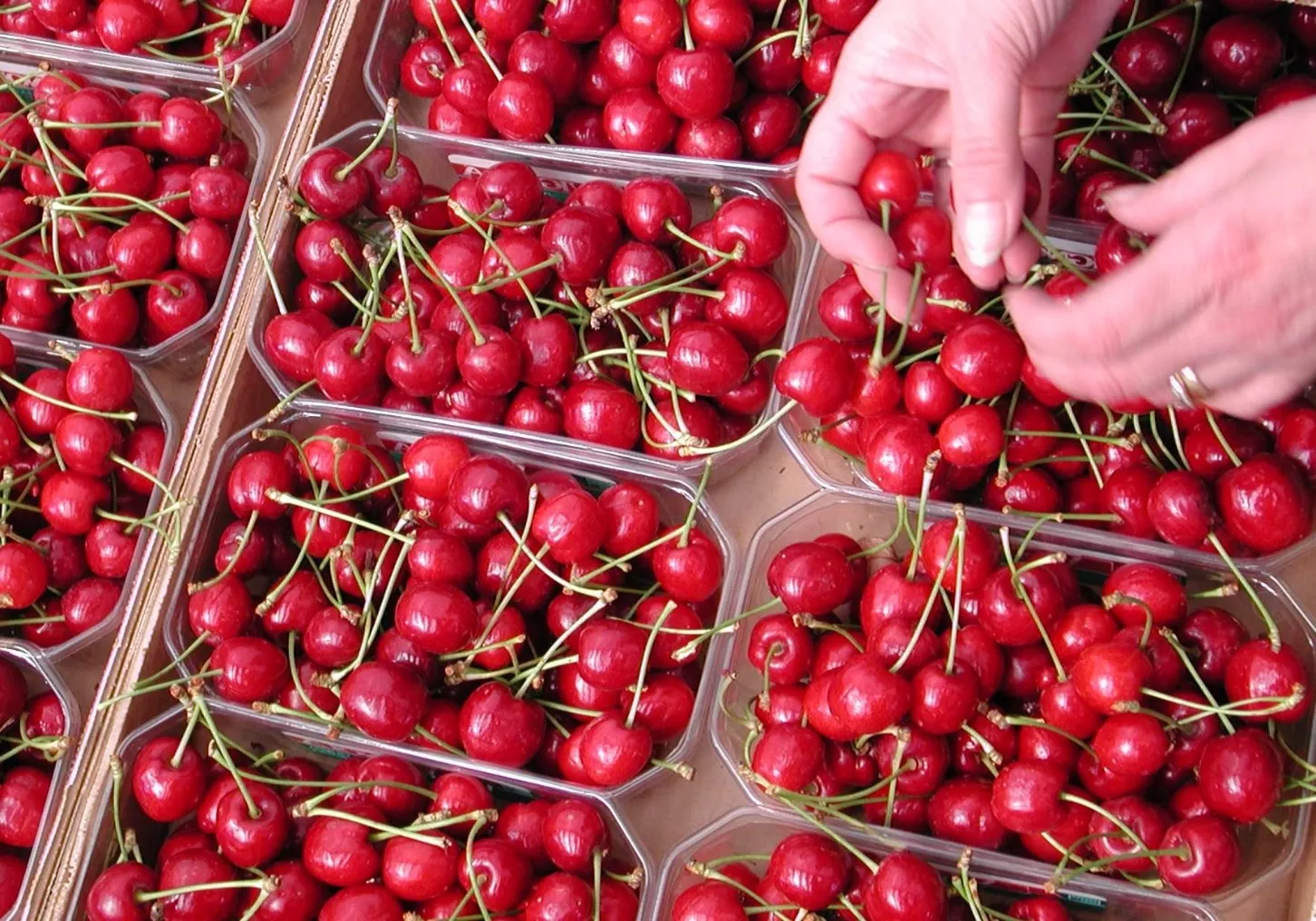 How many kilos of CO₂ are emitted to produce one kilo of cherries?