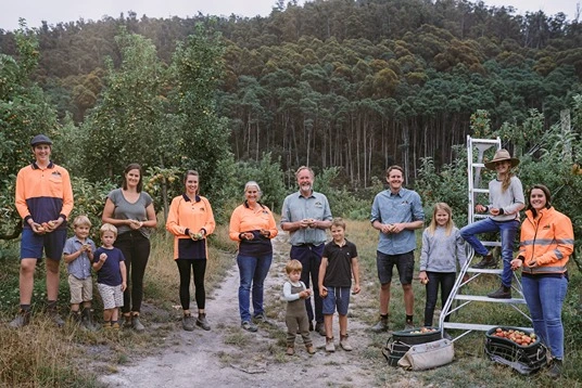 Lucaston Park Orchards: crescita grazie a tecnologia e automazione