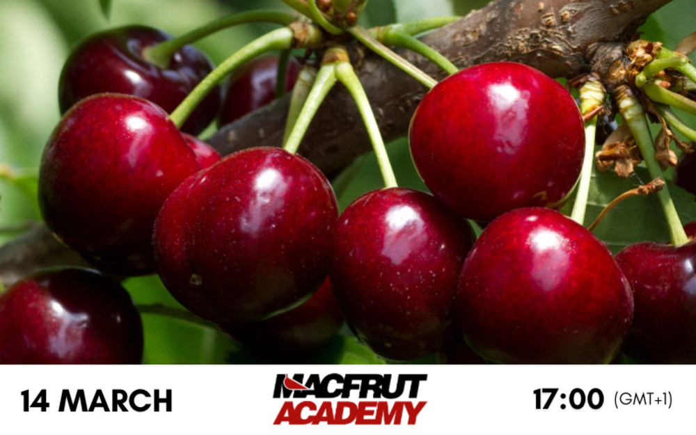 Macfrut Academy: la prima puntata dedicata alla ciliegia in onda il 14 marzo
