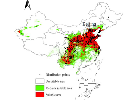 Expansion of sweet cherry cultivation in China: identifying suitable areas with a model