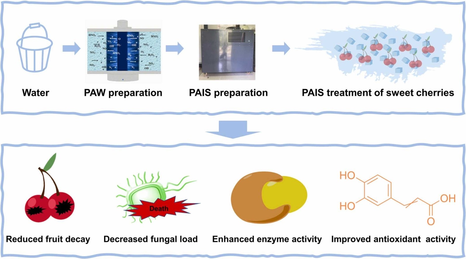 Cherry post-harvest: the efficacy of Plasma-Activated Ice Slurry (PAIS)