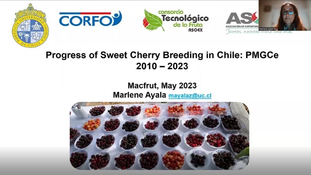 PMGC: il nuovo programma di breeding Made in Chile