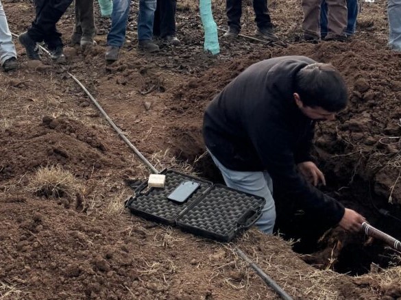 Starting, dosage and frequency of irrigation in cherry orchards: the soil decides