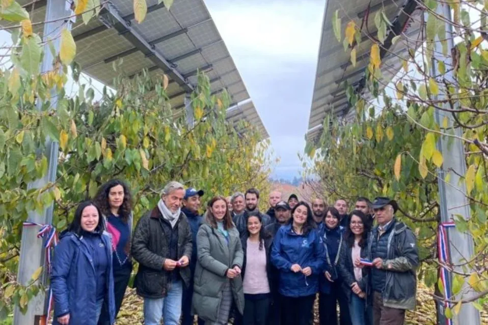 Agrivoltaico in Cile: ciliegi e pannelli solari uniti contro la scarsità d’acqua