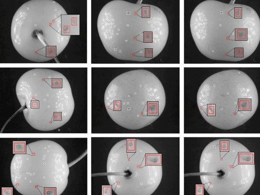 Biosicurezza più intelligente: dalla ricerca all’impatto concreto nel mondo reale