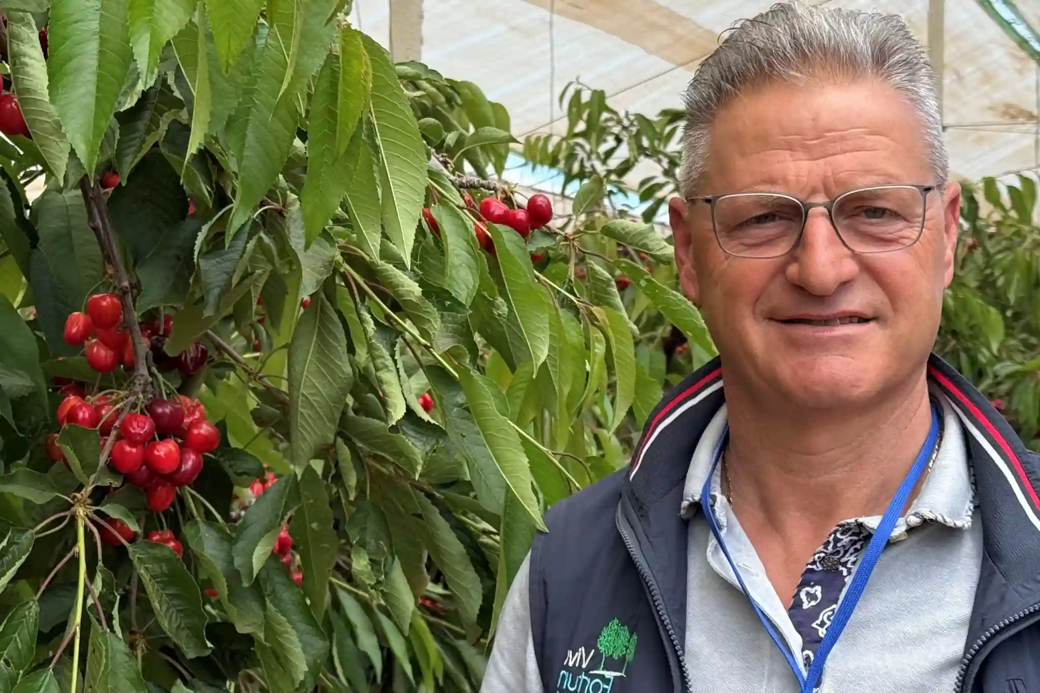 Vivai Fortunato rilancia la cerasicoltura in Puglia con un campo prova innovativo