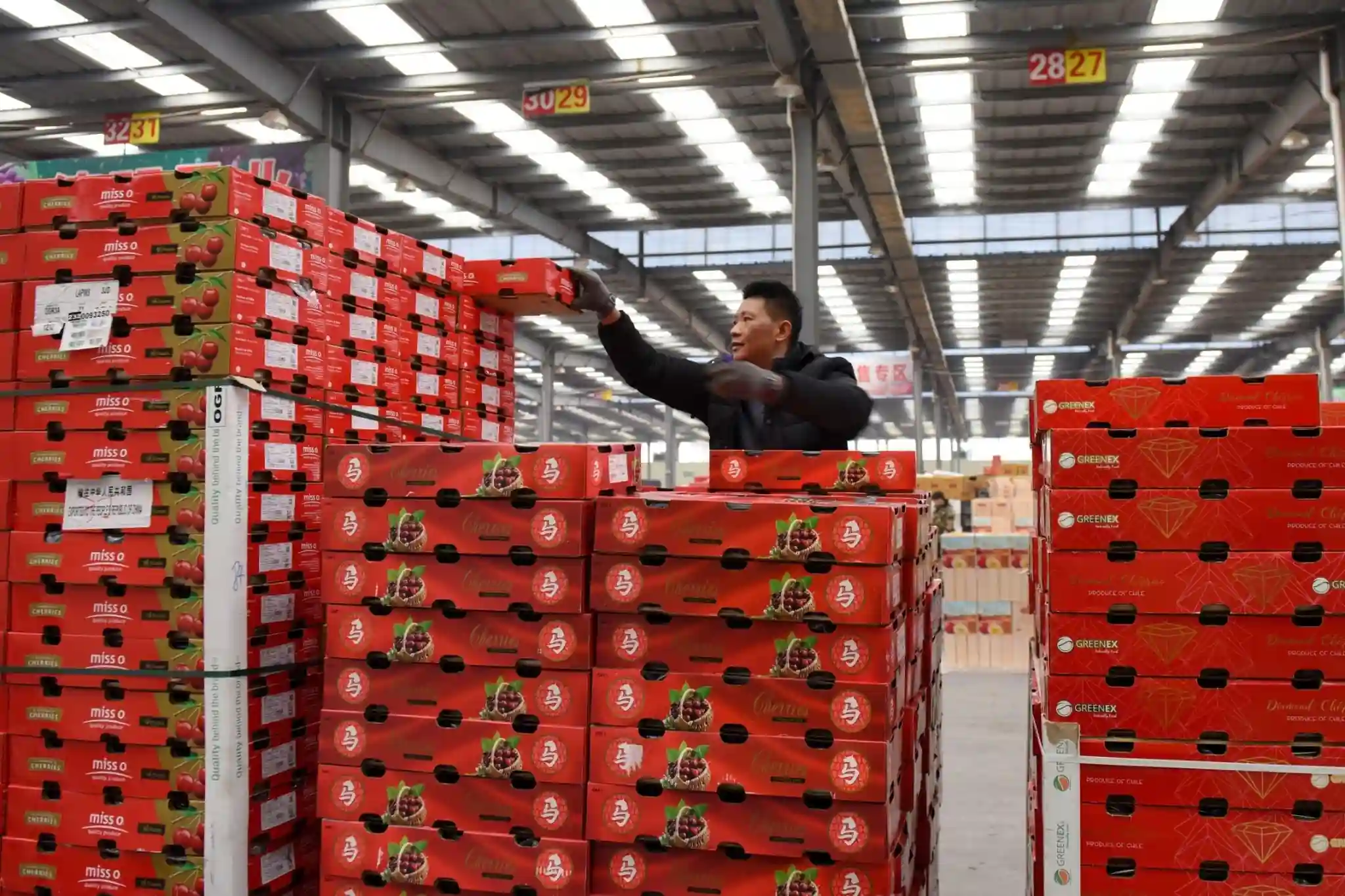 The Chilean cherries case: logistics and fruit export in Latin America