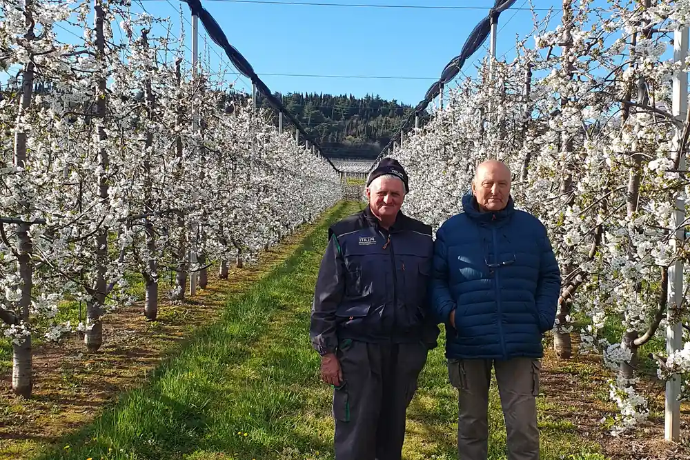 Italian ceramics at a crossroads: real change is needed