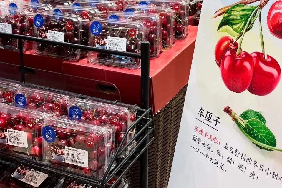 Chile cherry exports 2025-2026: record shipments to China, stable prices