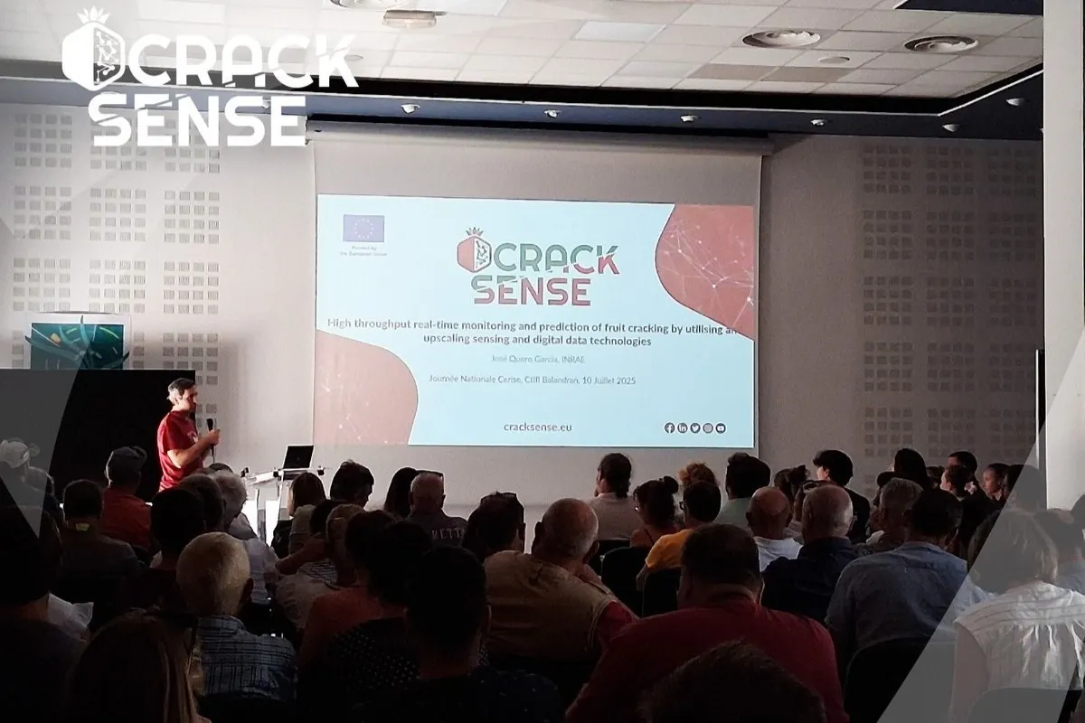 Ciliegie 2025: innovazioni e ricerca CTIFL a Balandran per produttori in Francia