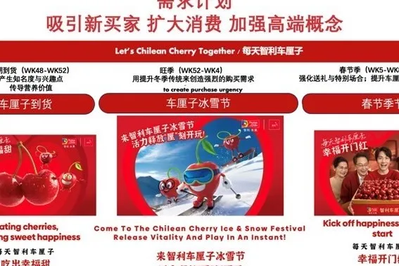 Ciliegie cilene tra clima sfavorevole e strategie vincenti: arriva il Cherry Festival in Cina