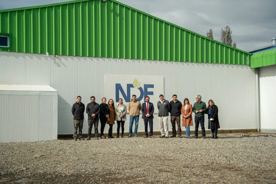 Ñuble rilancia sull’export: New Day Fruits investe in un nuovo maxi-packing per le ciliegie