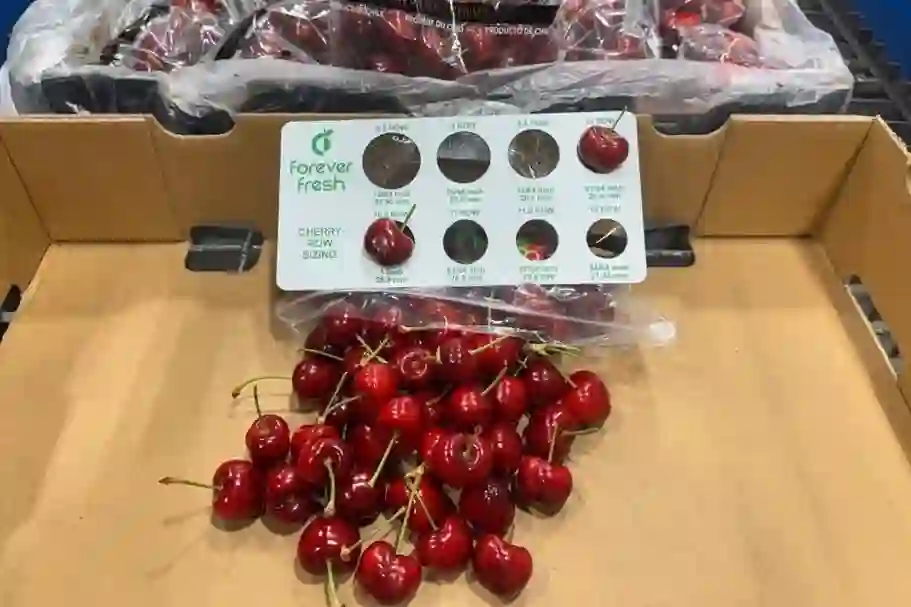 Ciliegie cilene sbarcano a New York: parte la stagione 2025-26 con qualità top