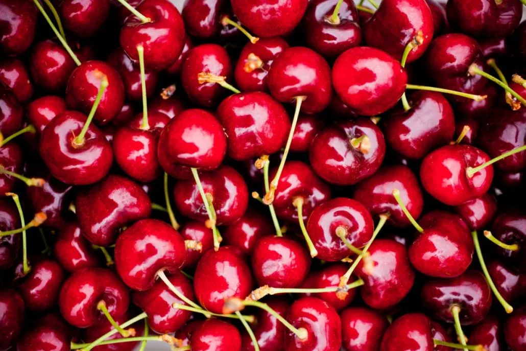 Ciliegie cilene: ritorni giù del 40% dopo una stagione record (ma disastrosa)
