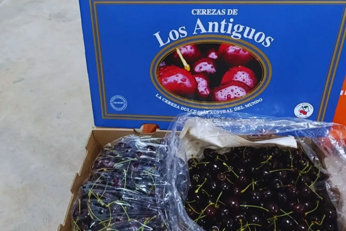 Ciliegie del Valle de Los Antiguos: dolcezza estrema dalla Patagonia