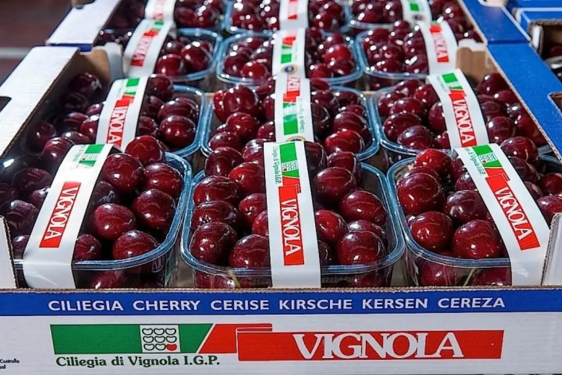 Ciliegie Igp di Vignola, produzione regolare ma niente promozioni