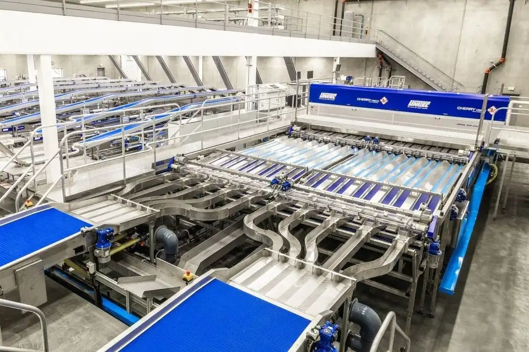 Nuova linea per il confezionamento delle ciliegie per Washington Fruit Growers