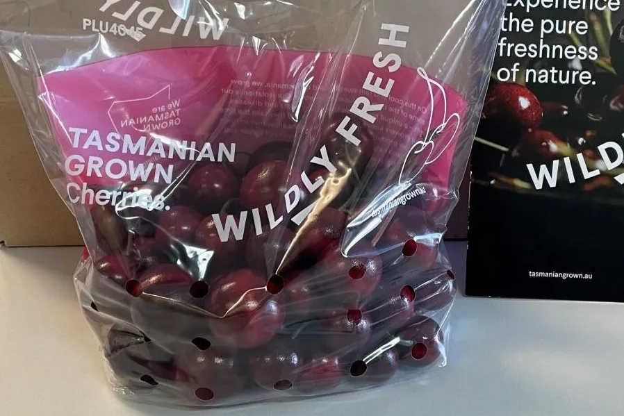 Ciliegie della Tasmania: produzione +15% e focus sull’export per il Capodanno cinese