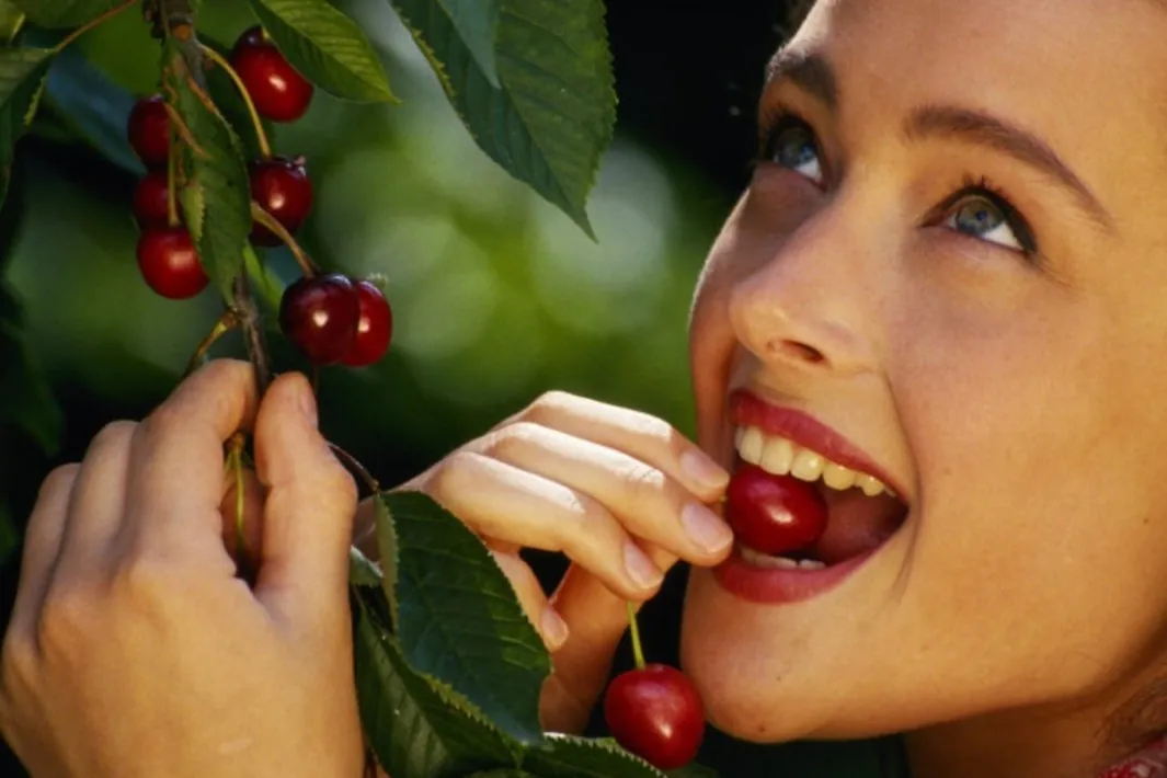 Chilean Santina cherries officially low GI: new horizons for nutrition marketing
