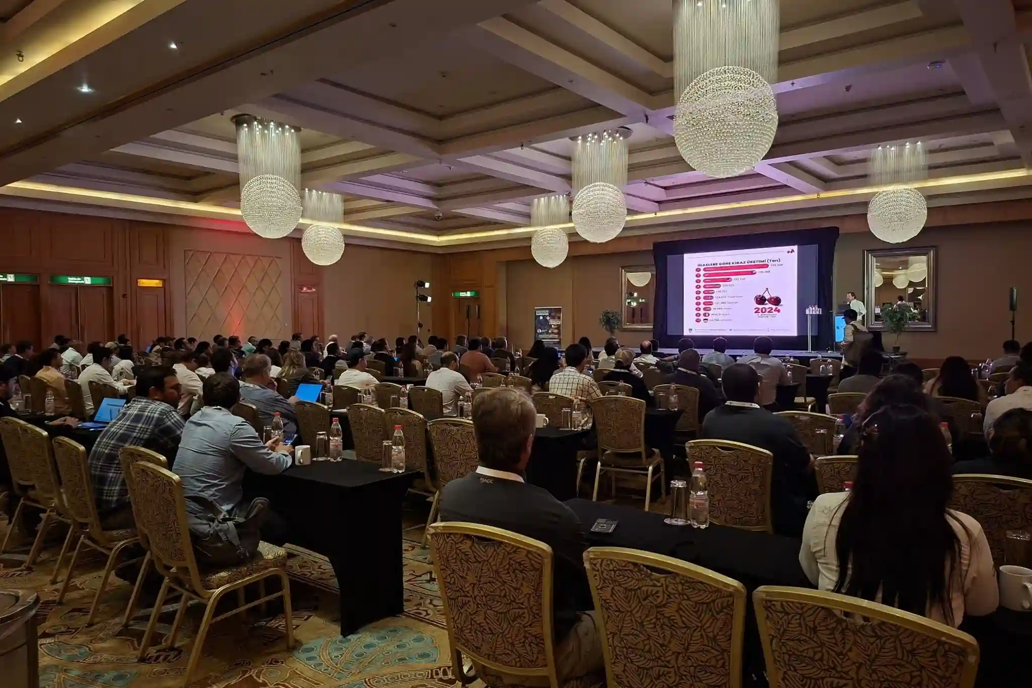 Modern post-harvest management techniques propel Chilean cherries towards global excellence