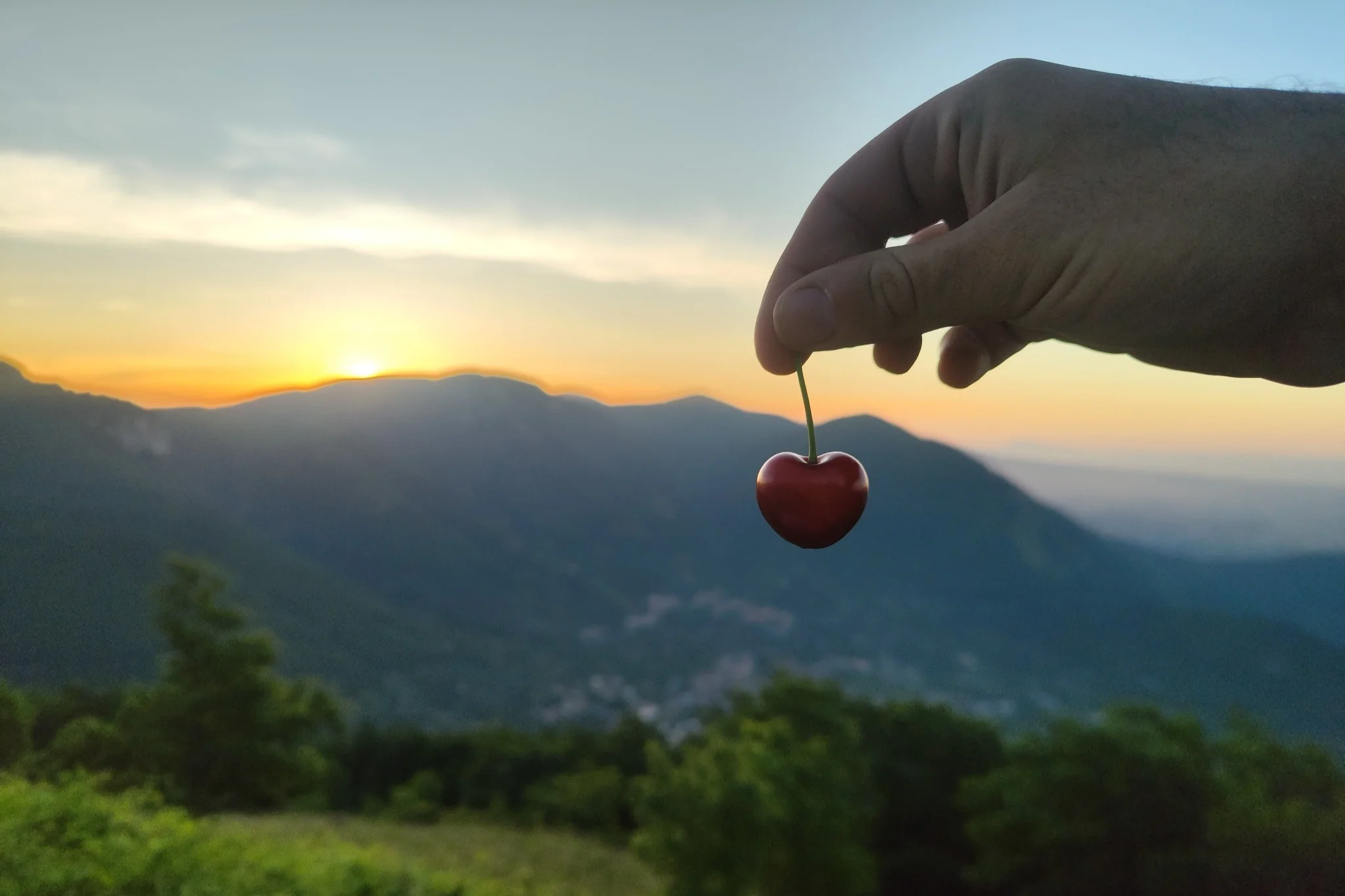Ciliegie di Bracigliano IGP: lo studio HRMAS-NMR che valorizza un’eccellenza della Campania